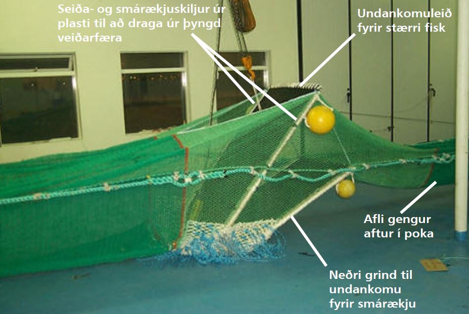 smárækjusk
